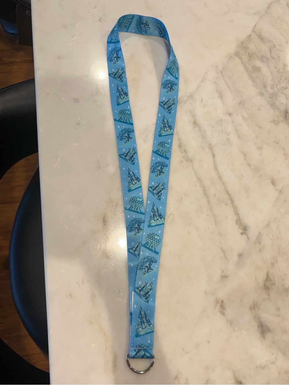 BNWT Disney World Light Blue Lanyard with Lands